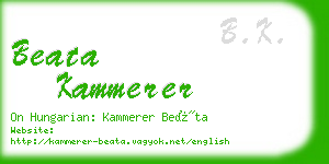 beata kammerer business card